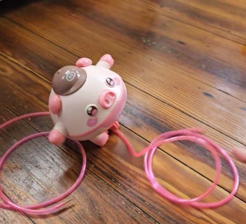 Tightrope Walking Tumbler Pig Toy for Kids – Balancing Rope Toy