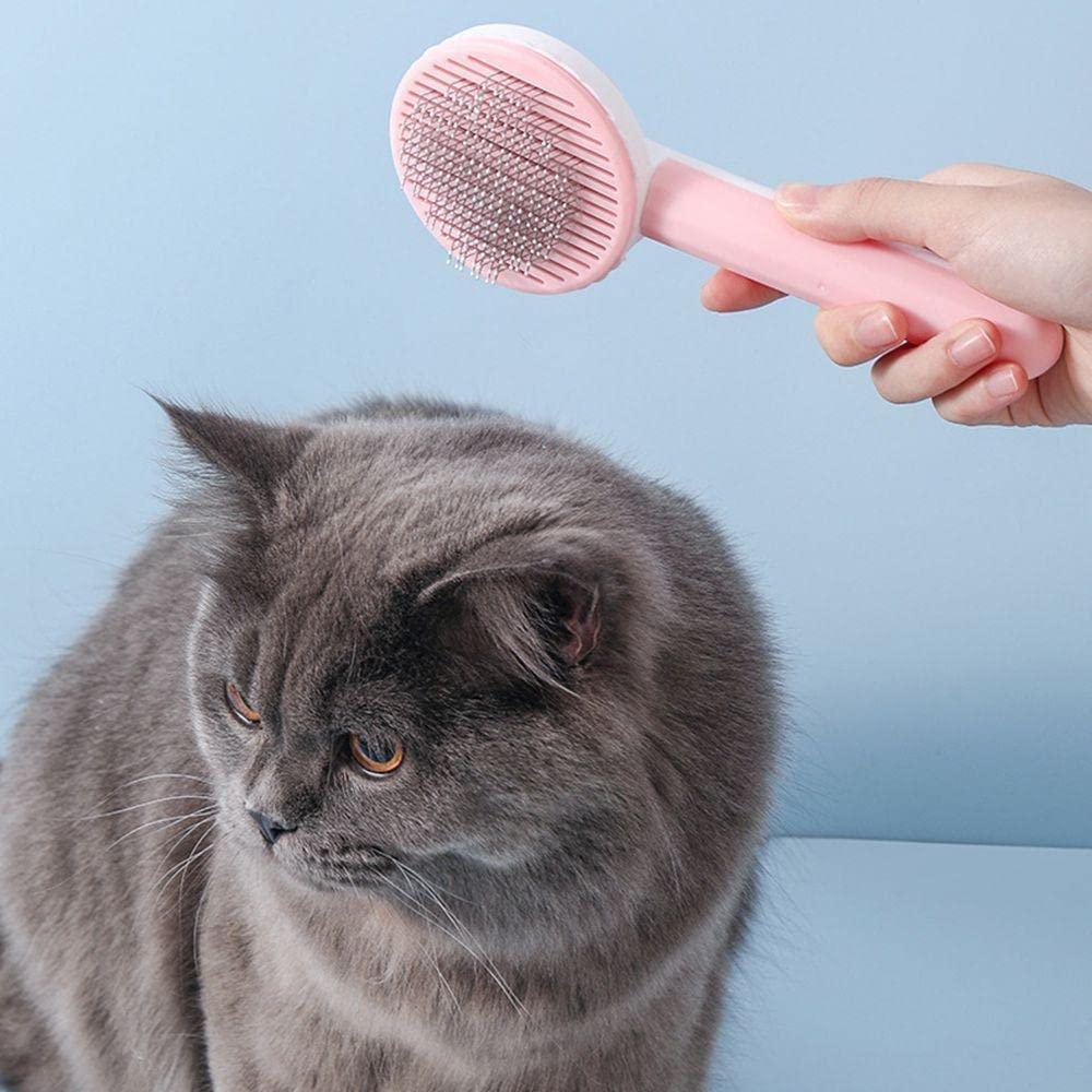 Pink hair removal massager for pets being used to groom a fluffy gray cat against a blue background