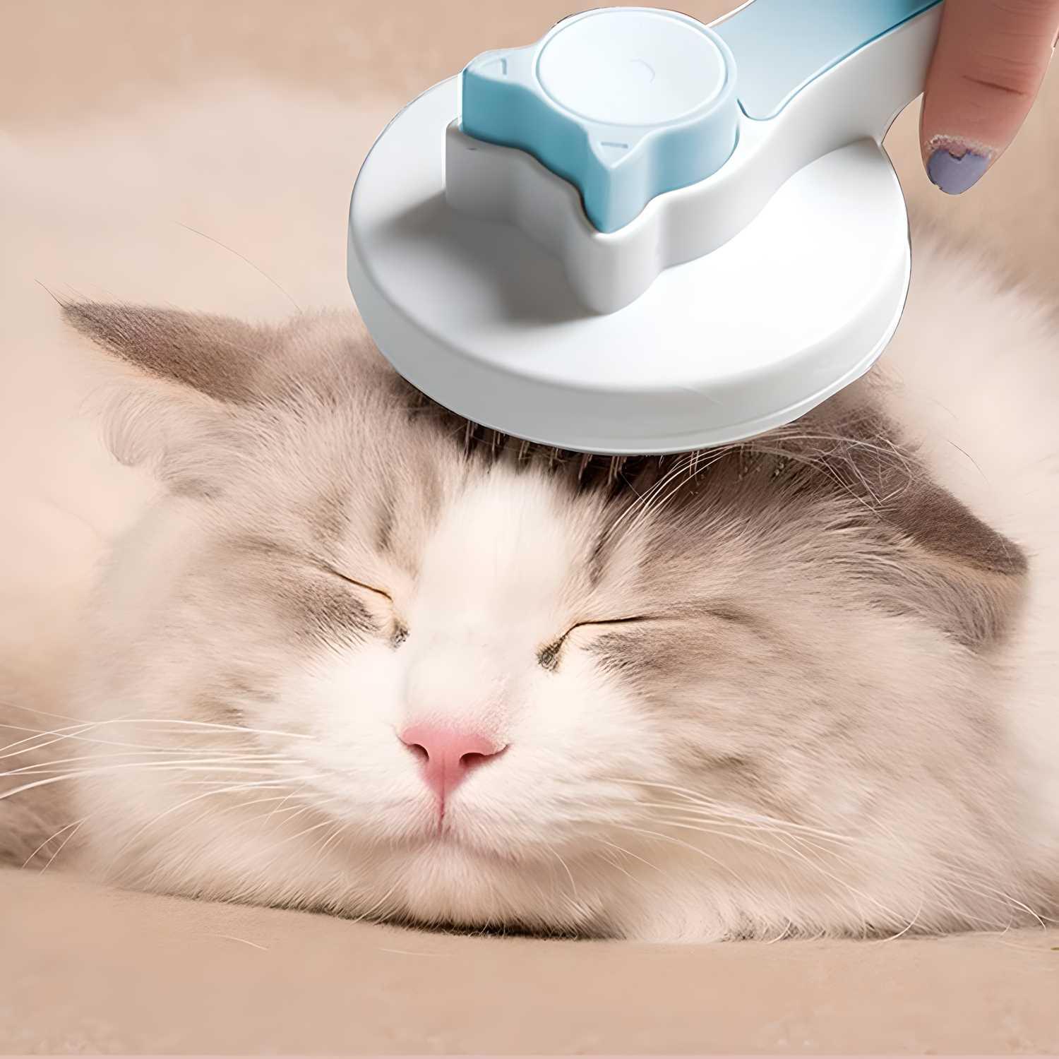 Hair removal massager for pets being used to groom a relaxed fluffy cat with white and gray fur